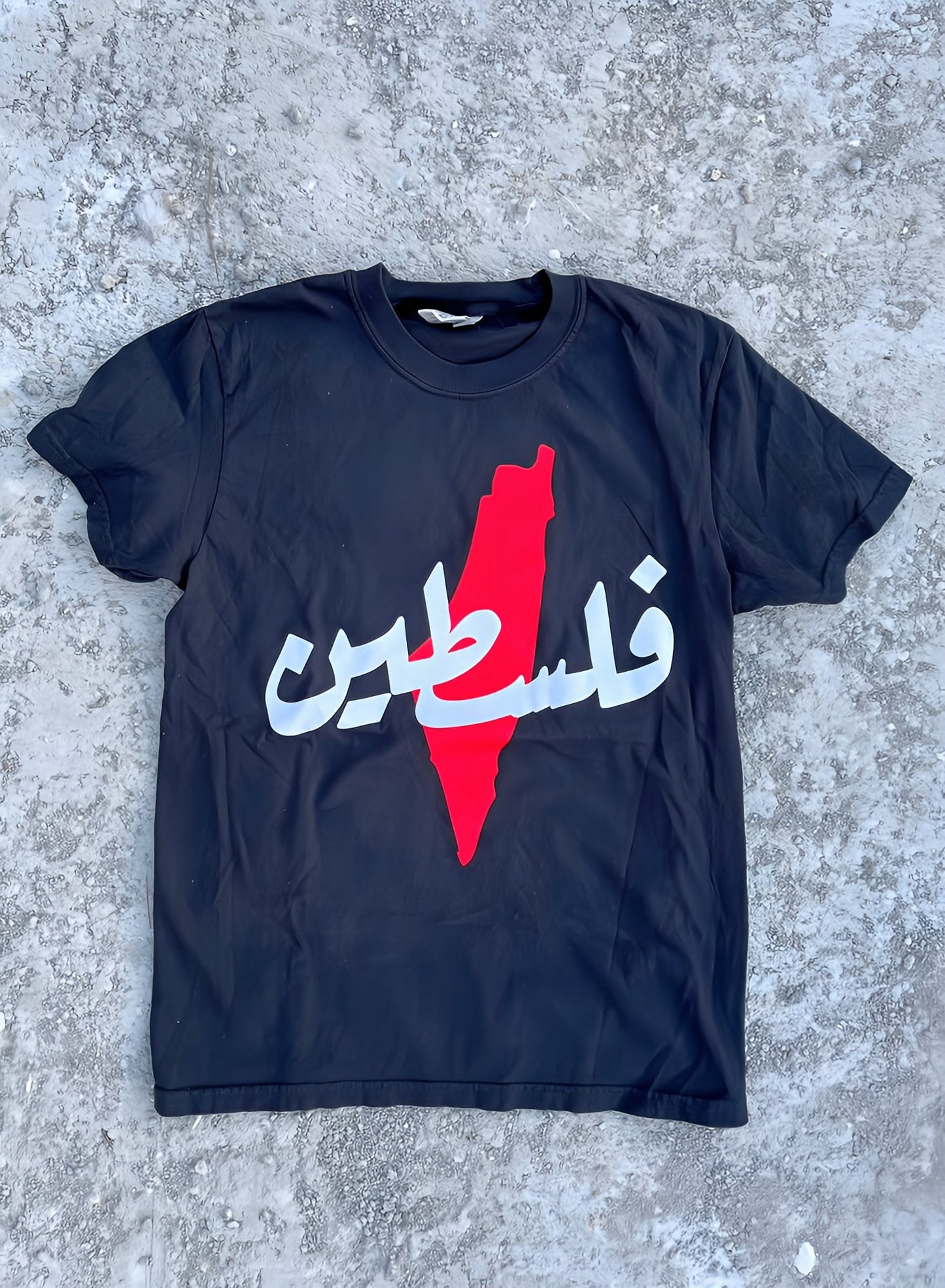 Palestine Map T-Shirt