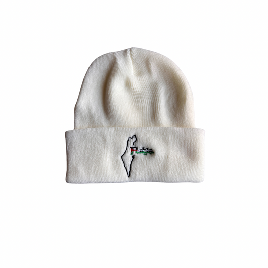 Flstin Map Beanie